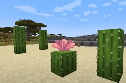 Minecraft 1.21.5 Bild 14