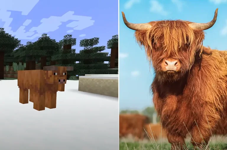 Minecraft Live 2025 Bild 2