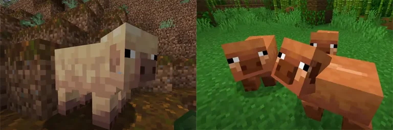 Snapshot 1.21.5 25w02a  Bild 1