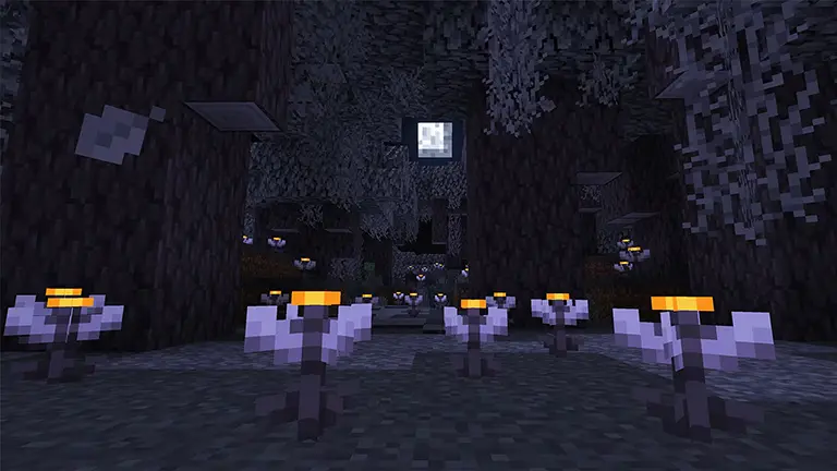 The Garden Awekens Available  Bild 8